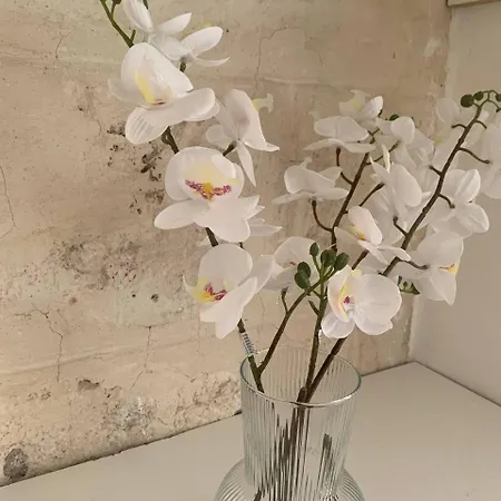 Dimora Pugliese Apartmán